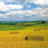 Landschap